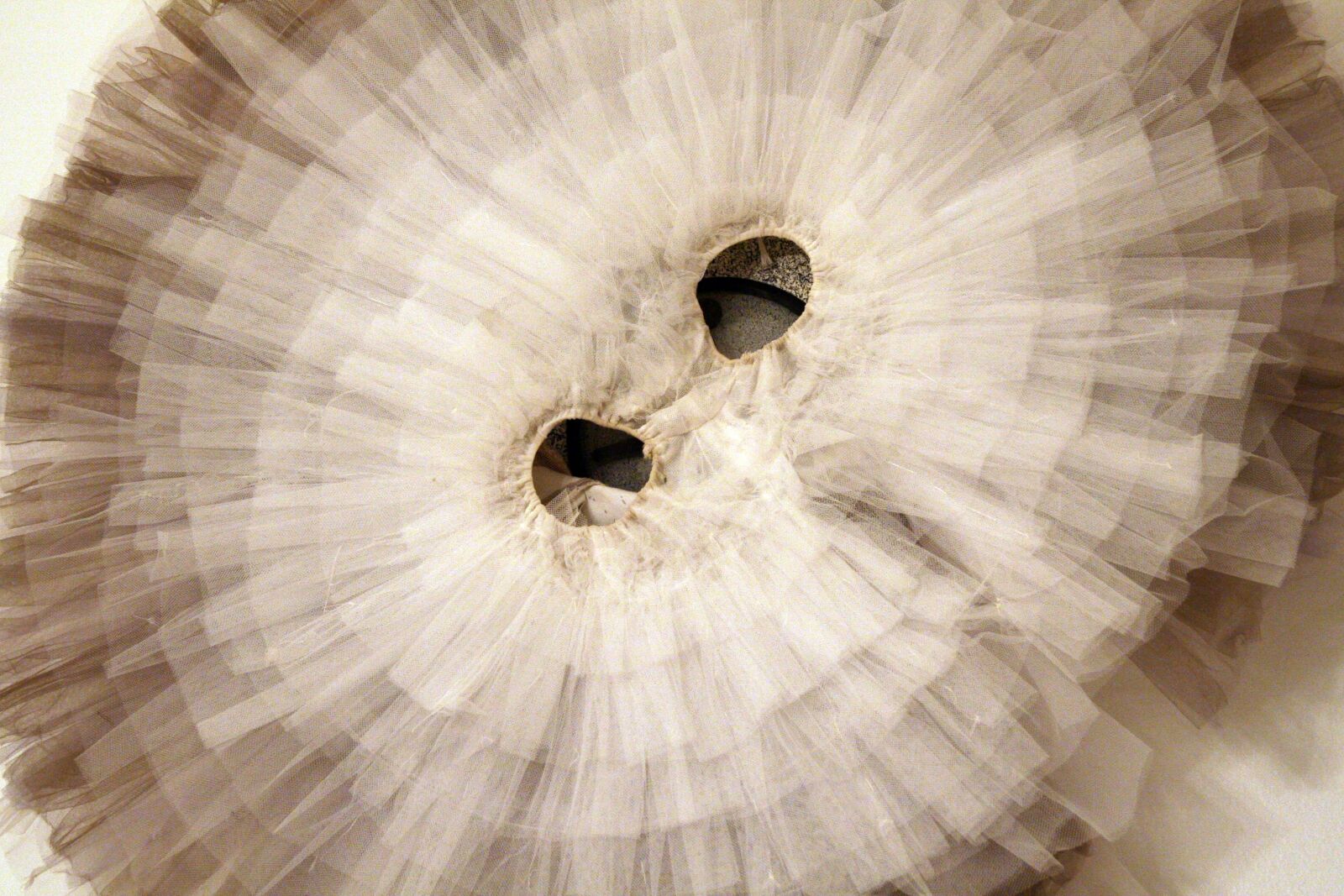 Canon EOS 350D (EOS Digital Rebel XT / EOS Kiss Digital N) sample photo. Dance, tutu, dance tutu photography