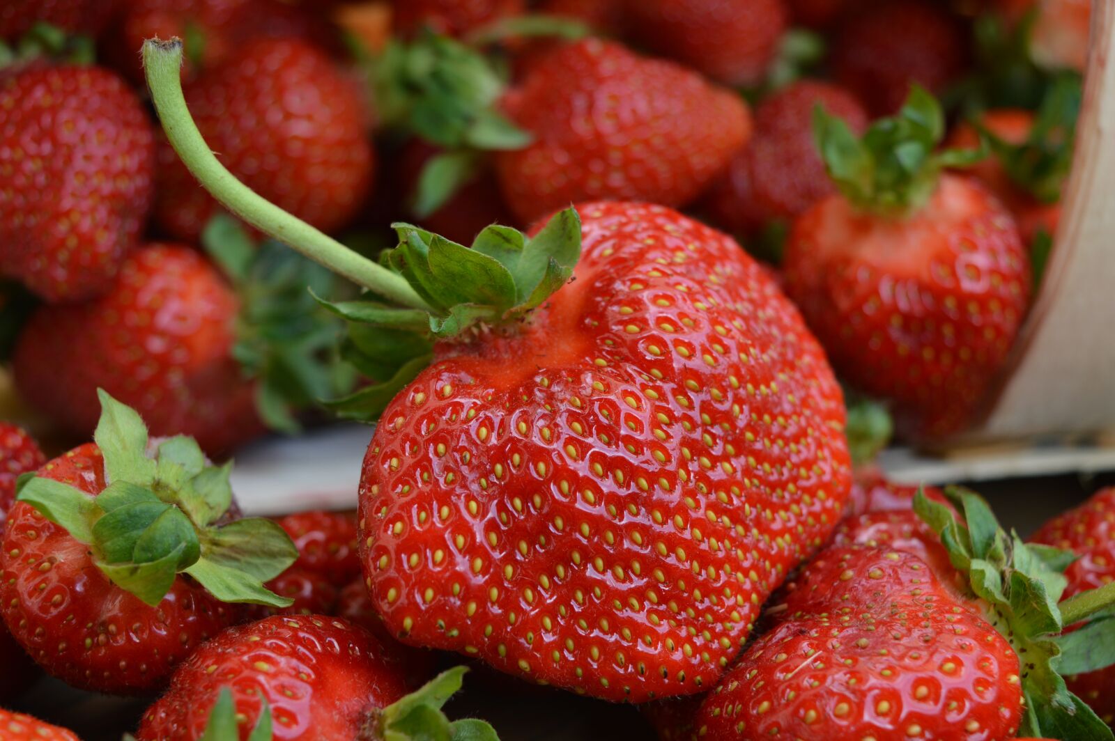 Nikon D3200 sample photo. Strawberries, fruit, foodstuffs photography