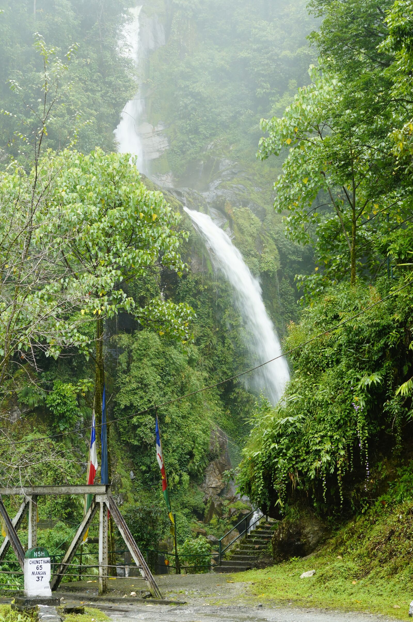 Sony SLT-A58 + Sony DT 50mm F1.8 SAM sample photo. Nature, fresh, sikkim photography