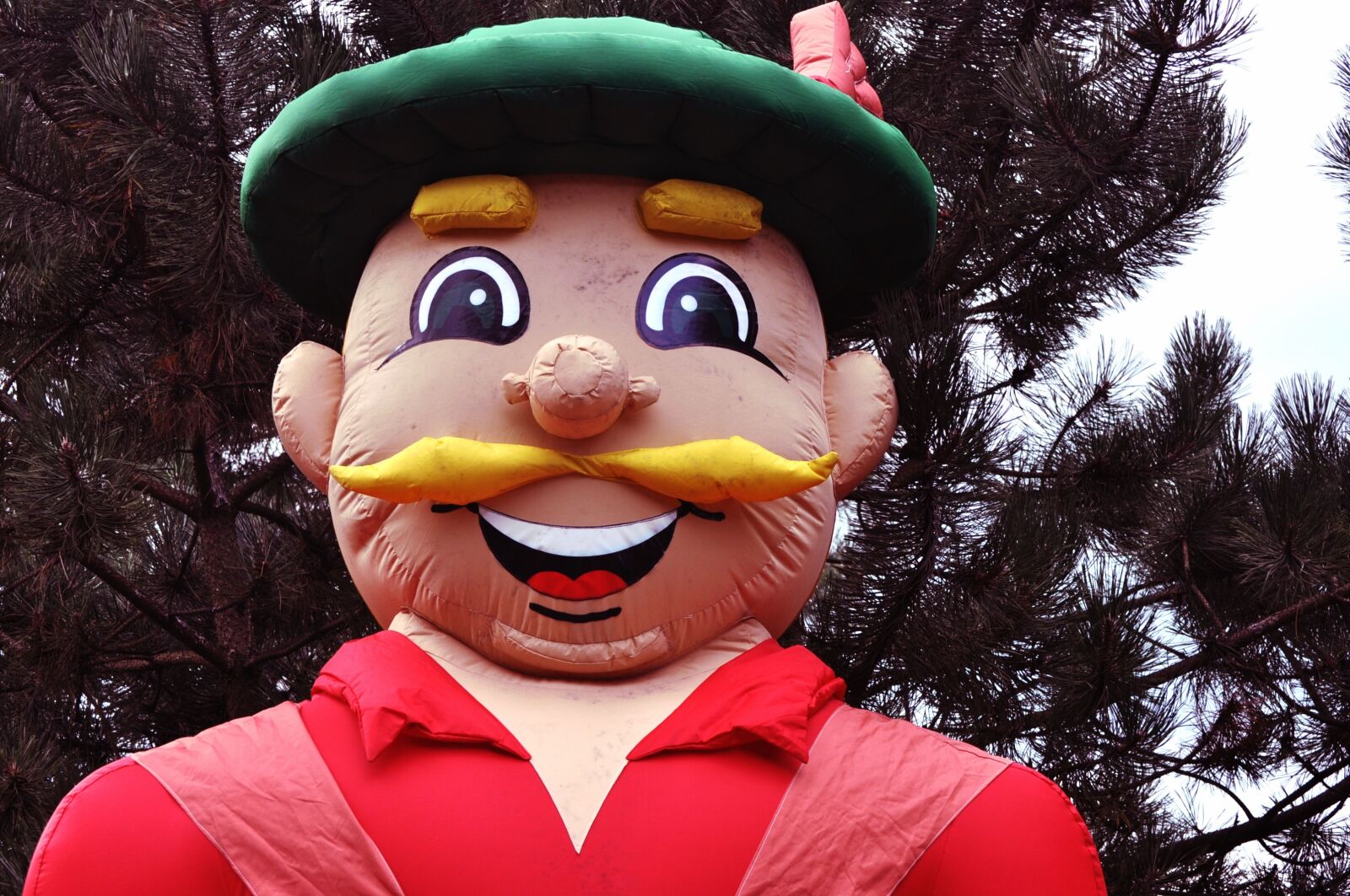 Nikon D5000 sample photo. Figure, bayer, funny photography