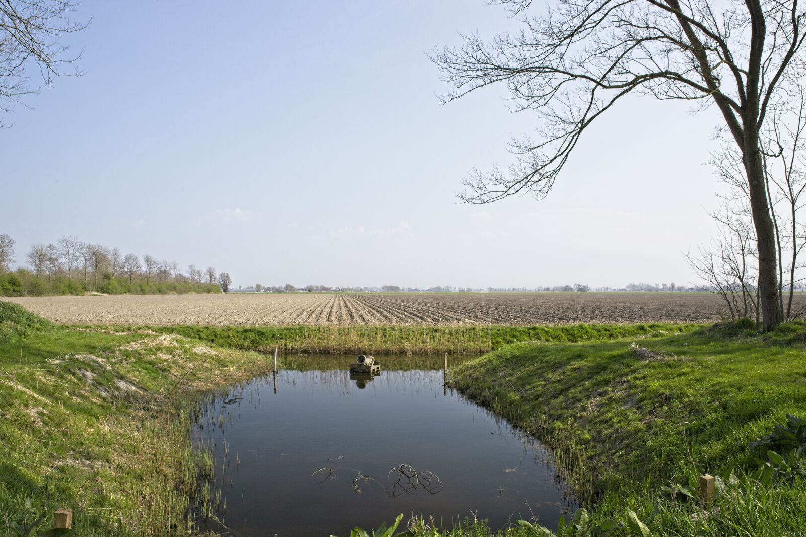 Canon EOS 6D Mark II sample photo. Landscape, view, tree photography