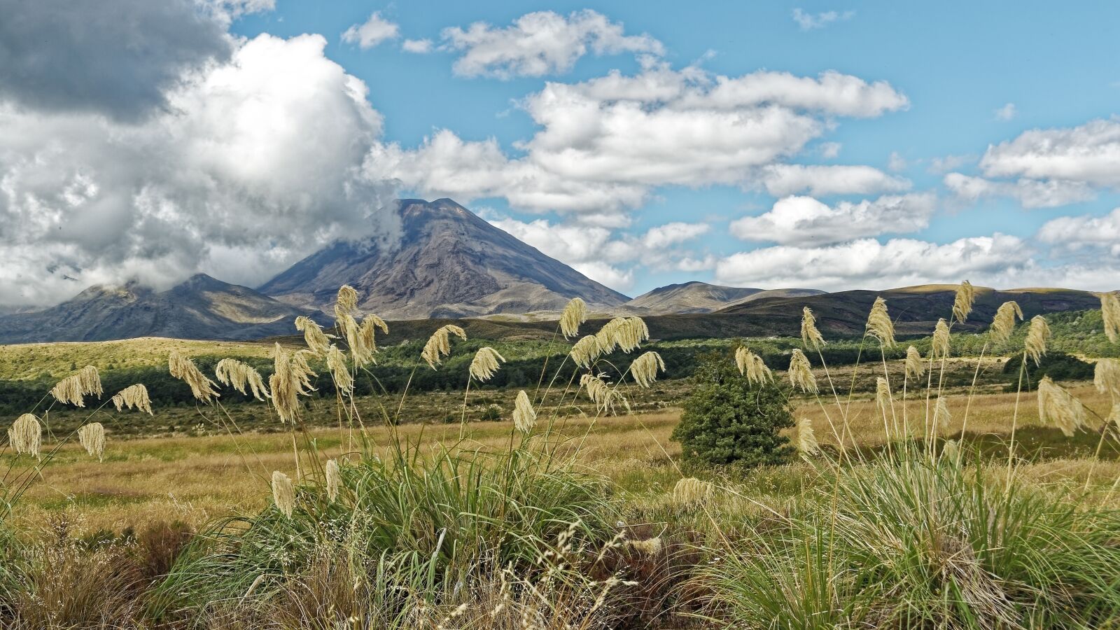 Nikon D500 sample photo. New zealand, tongariro national photography
