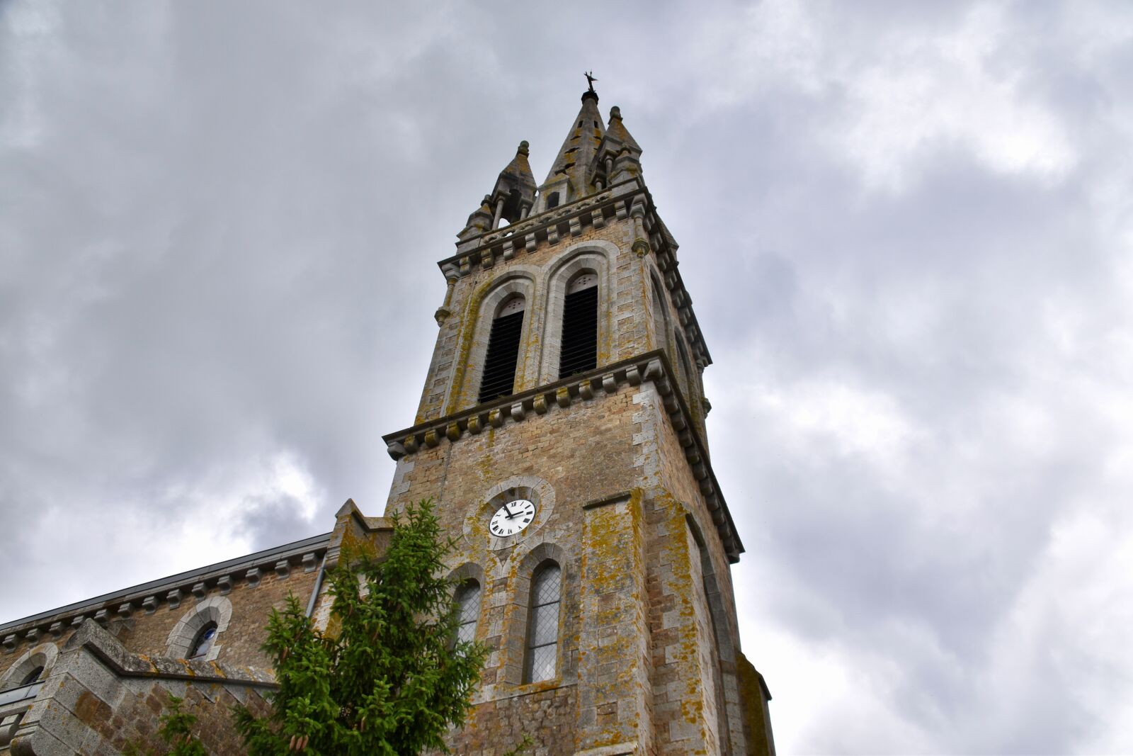 Nikon D5600 sample photo. Church, bell tower church photography