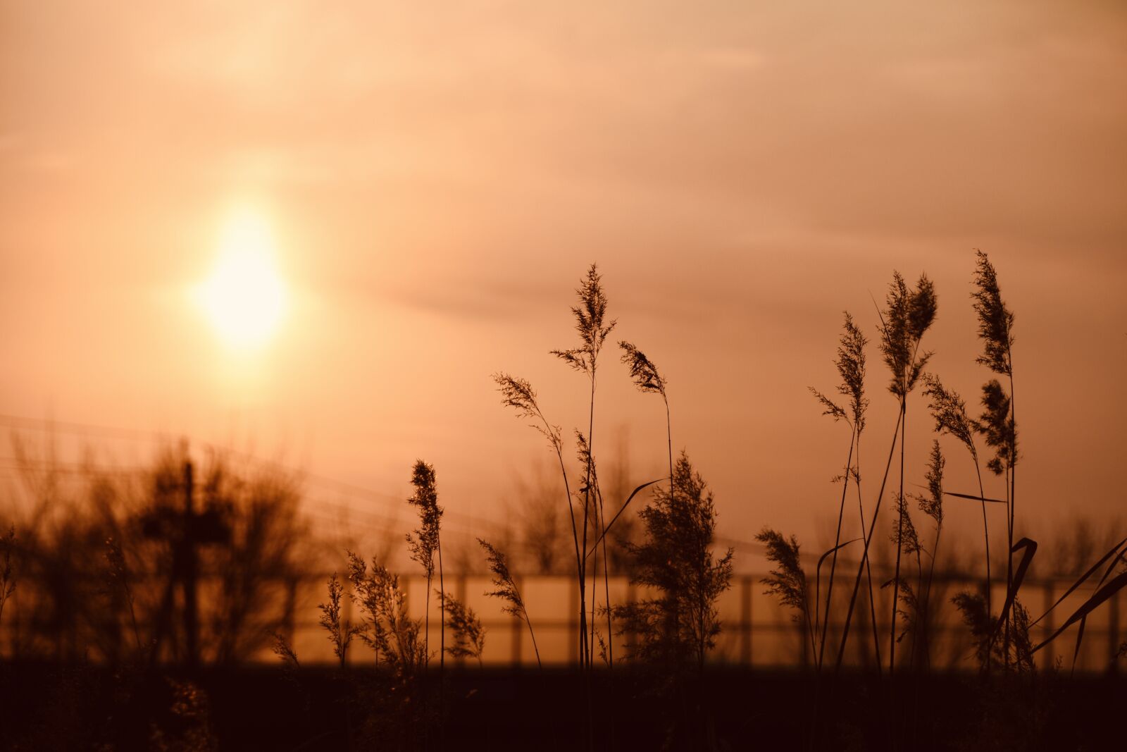 Nikon D7200 sample photo. The scenery, winter, beautiful photography
