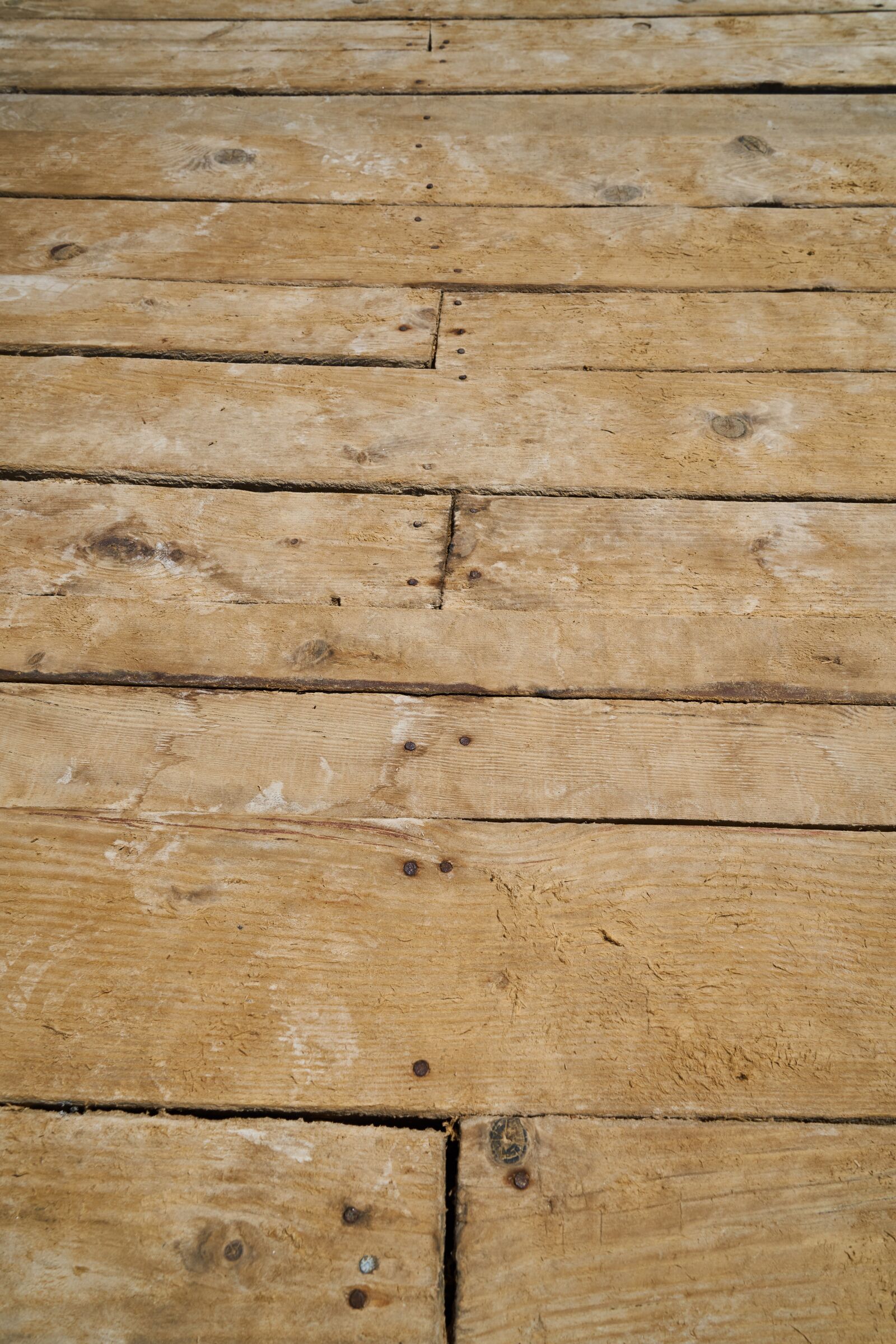 Sony a7R II sample photo. Wood-fibre boards, wood, billet photography