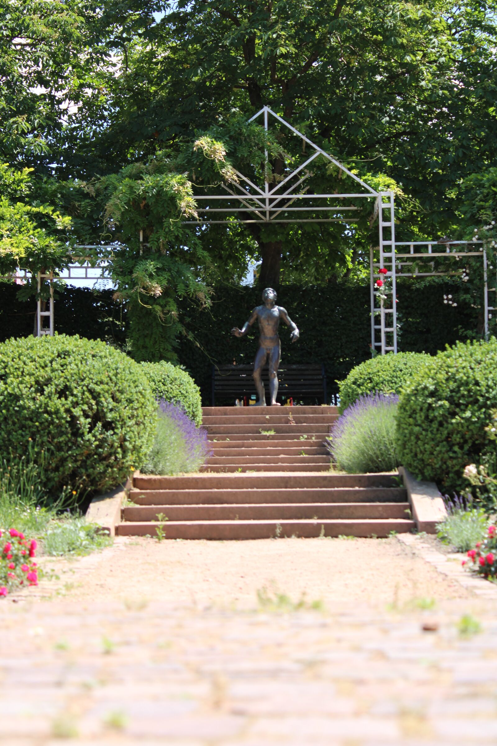 Canon EOS 2000D (EOS Rebel T7 / EOS Kiss X90 / EOS 1500D) sample photo. Rose garden, statue, away photography