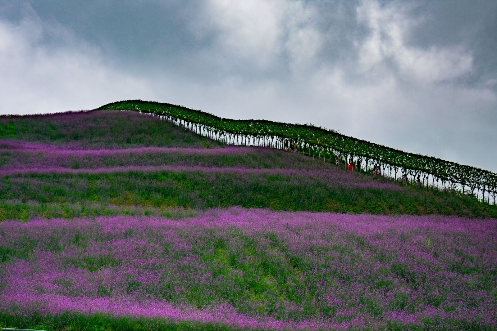 Nikon D3400 sample photo. China, guizhou, tongzi photography