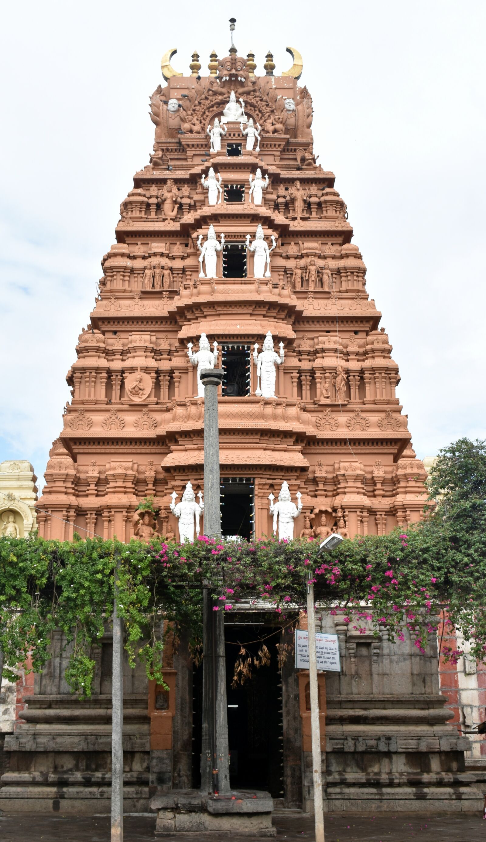 Nikon D5500 sample photo. Dodda mallur, karanataka, hindu photography