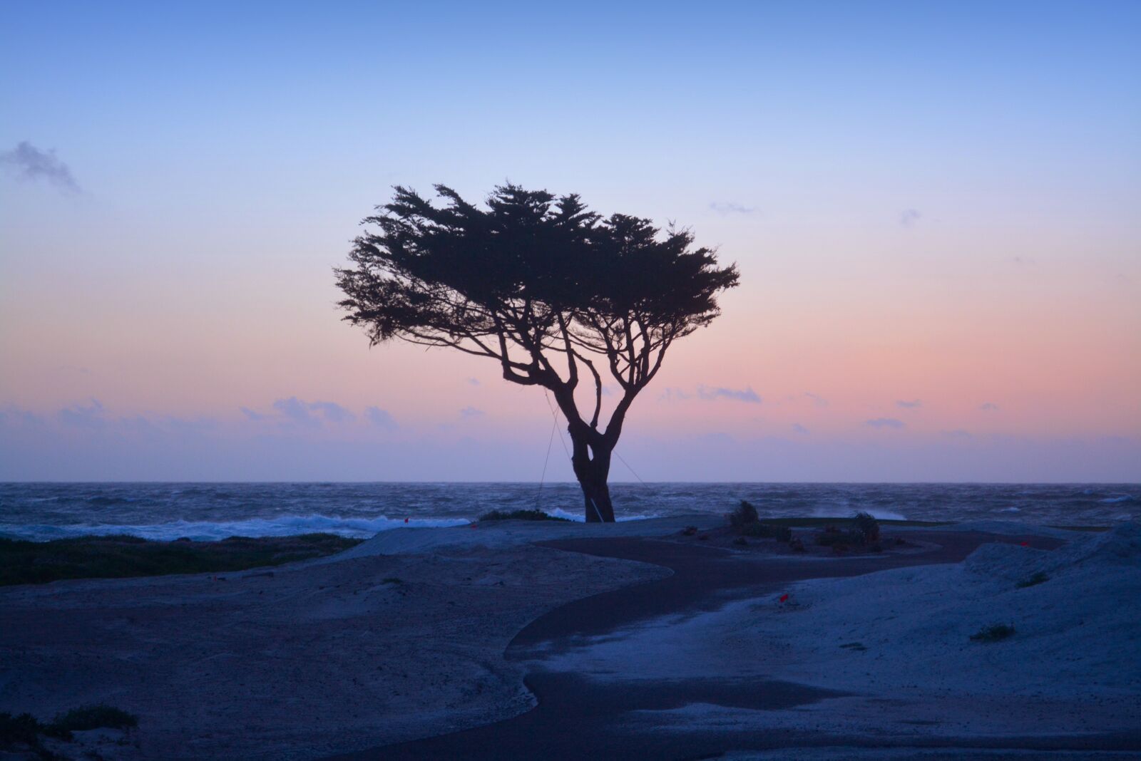 Nikon D5200 sample photo. Pacific, grove, california photography