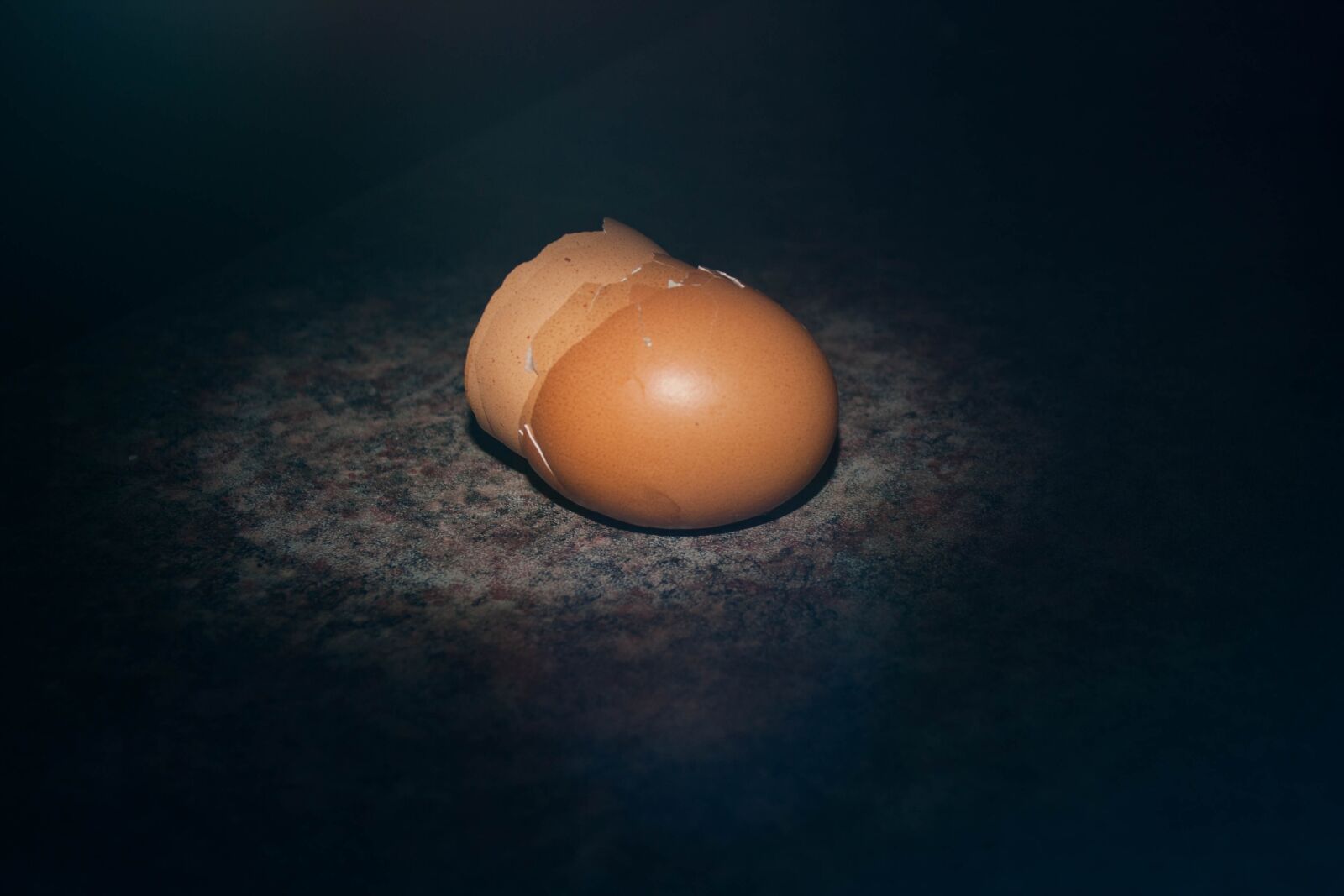 Canon EOS 1000D (EOS Digital Rebel XS / EOS Kiss F) sample photo. Egg shell, egg, chicken photography