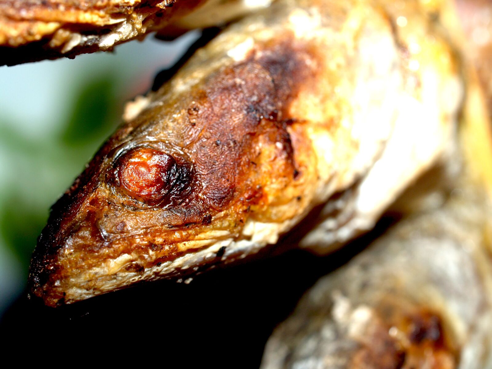 Olympus E-300 (EVOLT E-300) sample photo. Snakehead, fish, food photography