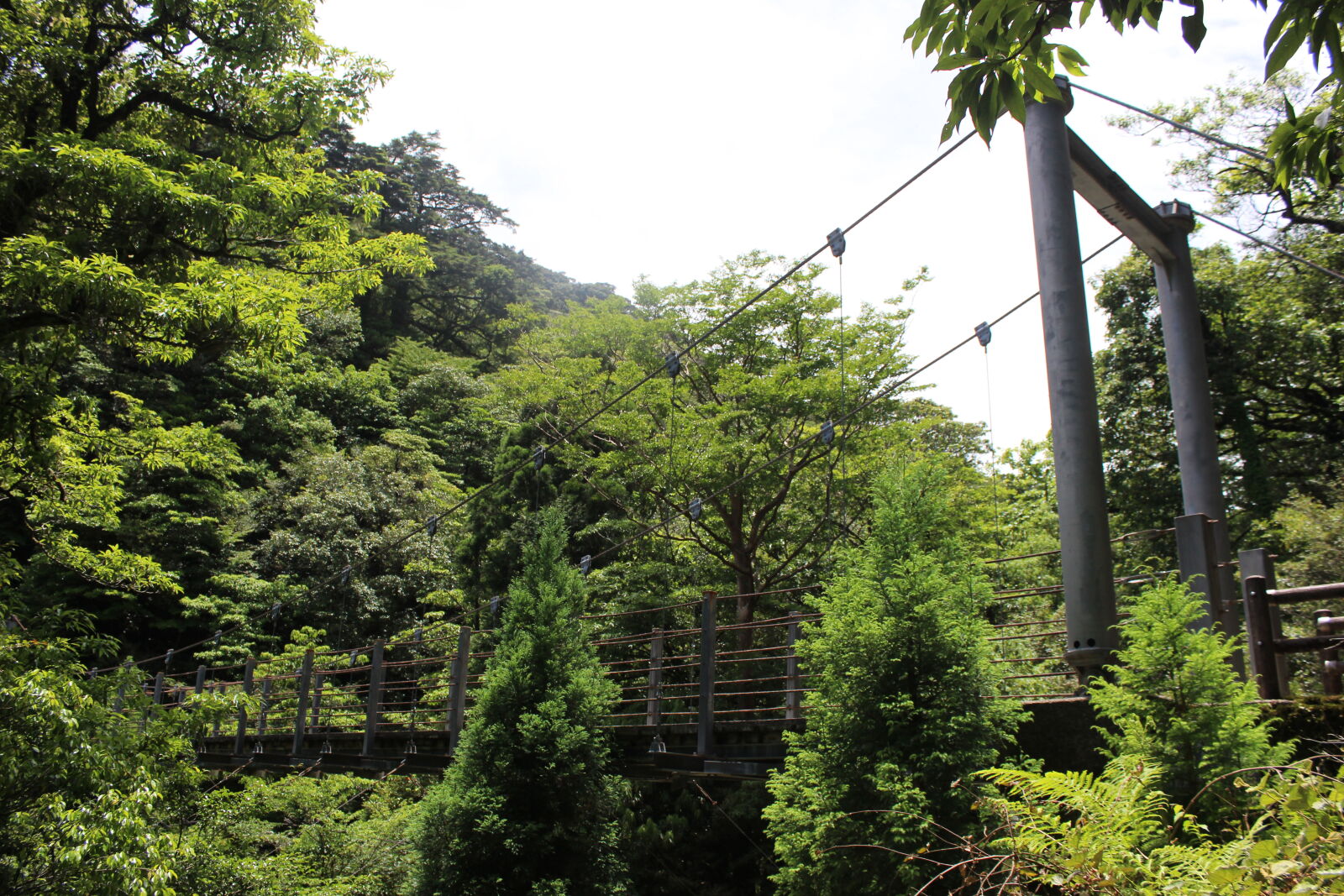 Canon EOS 600D (Rebel EOS T3i / EOS Kiss X5) sample photo. Suspension, bridge photography