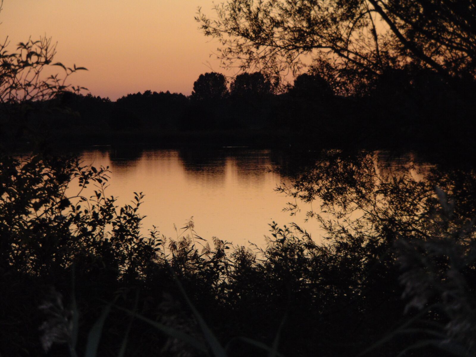 Sony Cyber-shot DSC-H300 sample photo. Lake, sun, sunset photography