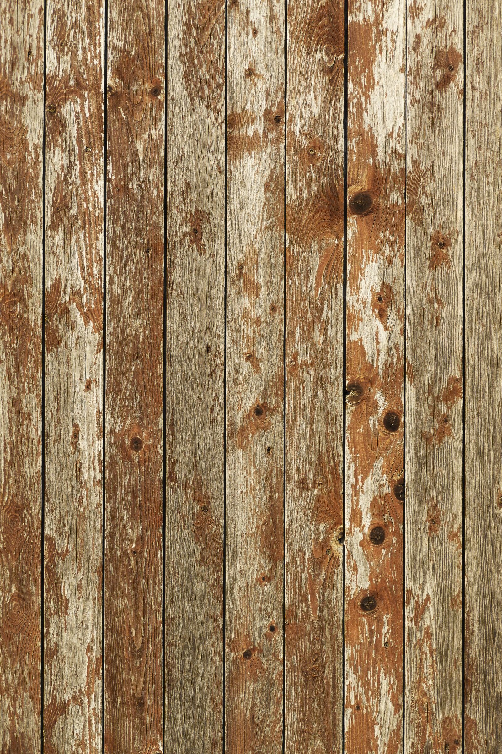 Panasonic Lumix DMC-FZ1000 sample photo. Wooden boards, boards, wooden photography