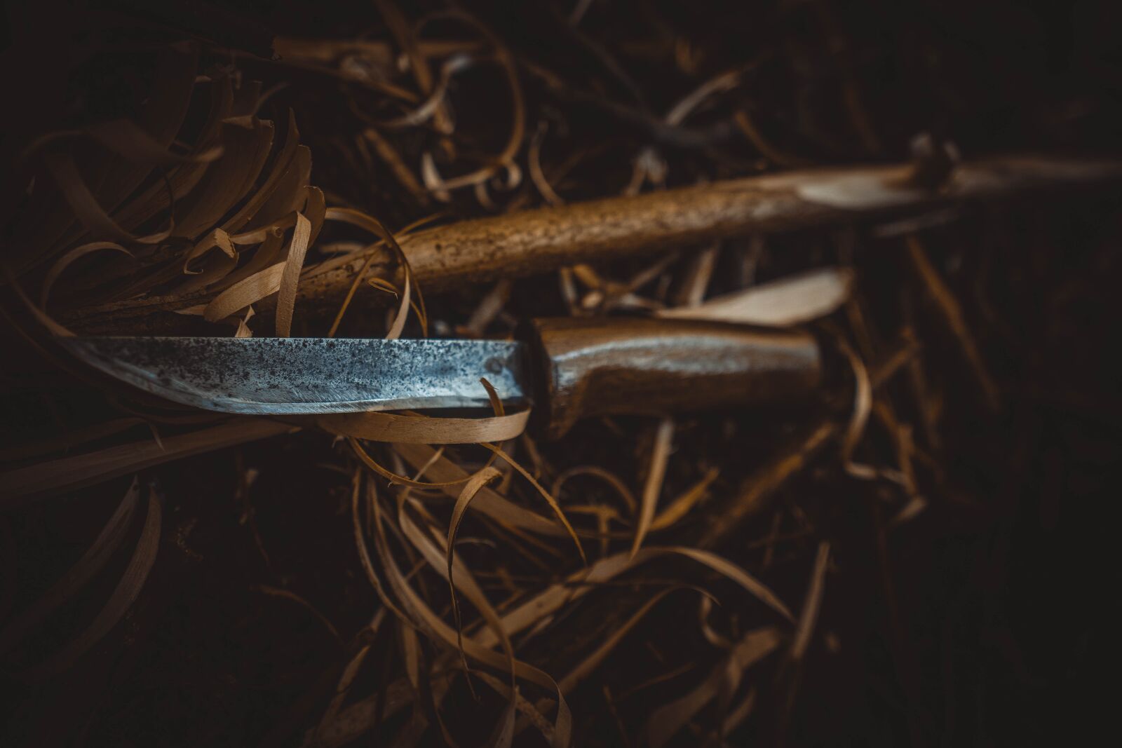 Sigma 16mm F1.4 DC DN | C sample photo. Nature, knife, hot photography