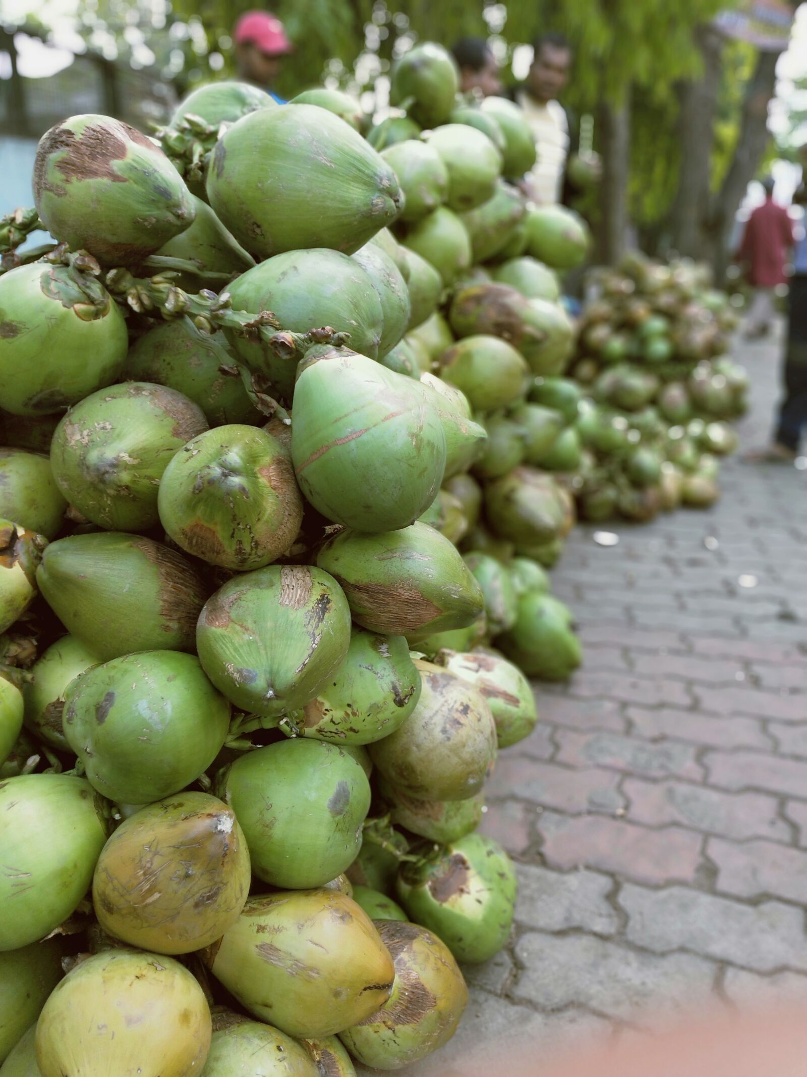 OPPO Realme 2 Pro sample photo. Coconuts, hot climate, coconut photography
