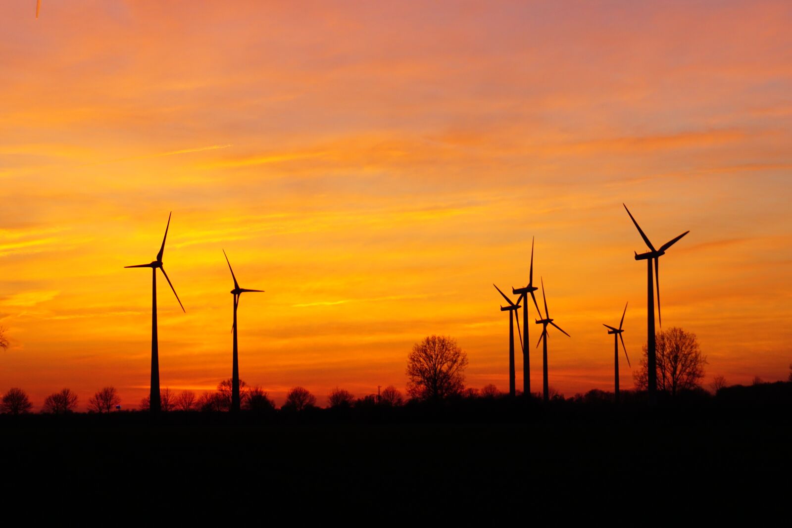 Sony a6000 sample photo. Windr der, sunset, wind photography
