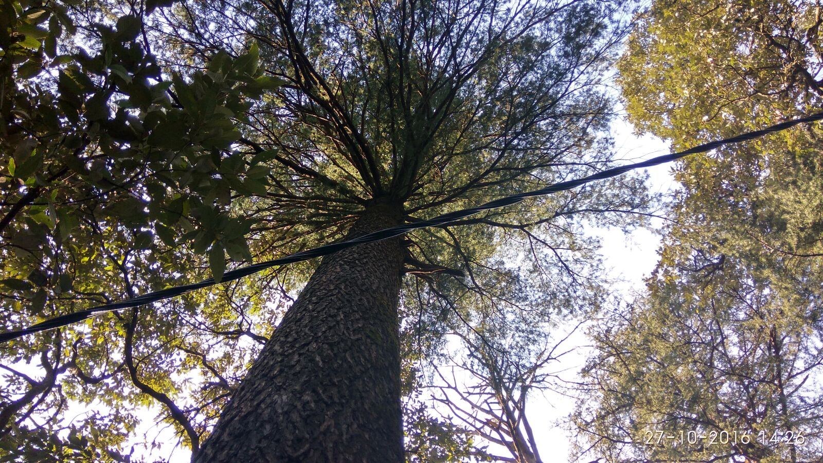 Xiaomi Redmi Note3 sample photo. Mcleod, ganj photography