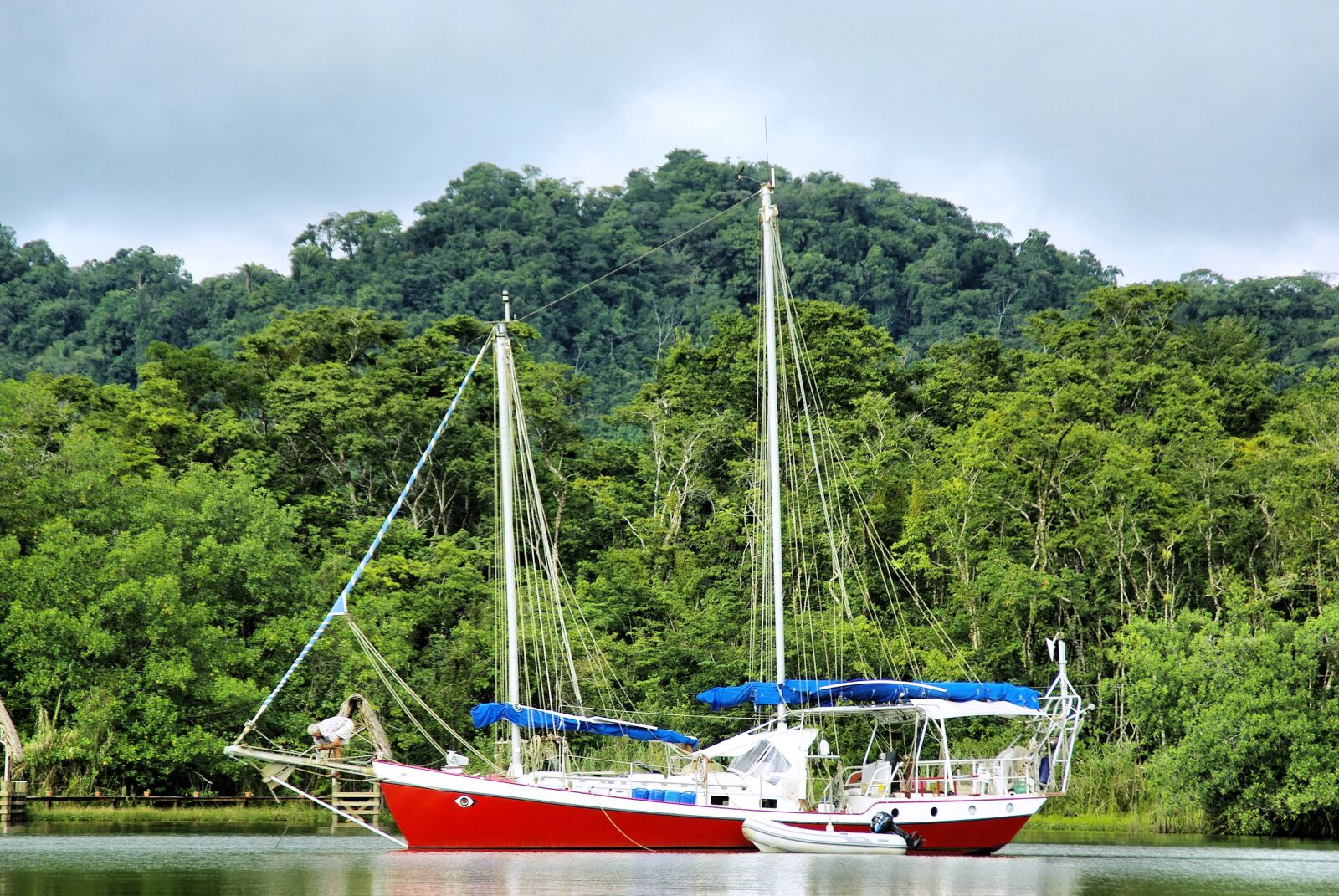 Pentax K200D sample photo. Sailboat, river, rainforest photography