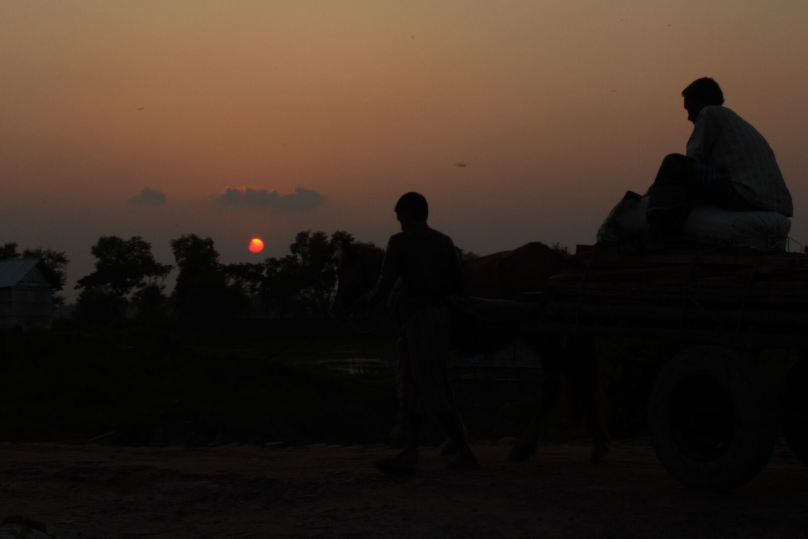 Canon EOS 500D (EOS Rebel T1i / EOS Kiss X3) sample photo. Bangladesh, canal, fisherman, nature photography