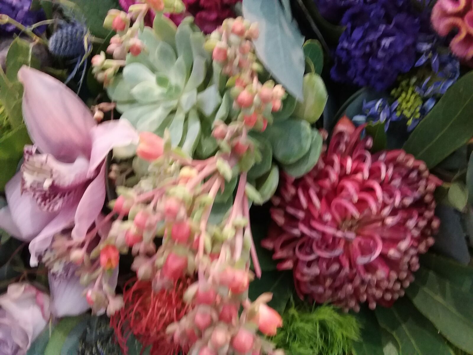 Samsung Galaxy J3(2016) sample photo