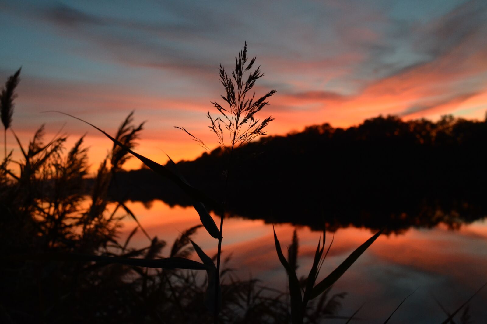 Nikon D3100 sample photo. природа, закат, river photography