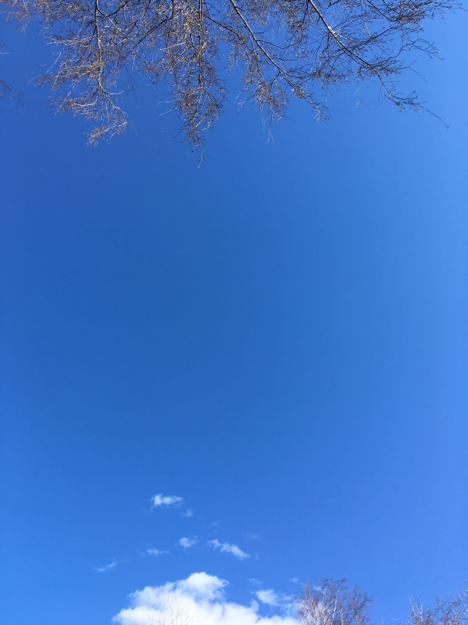 iPhone SE back camera 4.15mm f/2.2 sample photo. облака, небо, солнце photography
