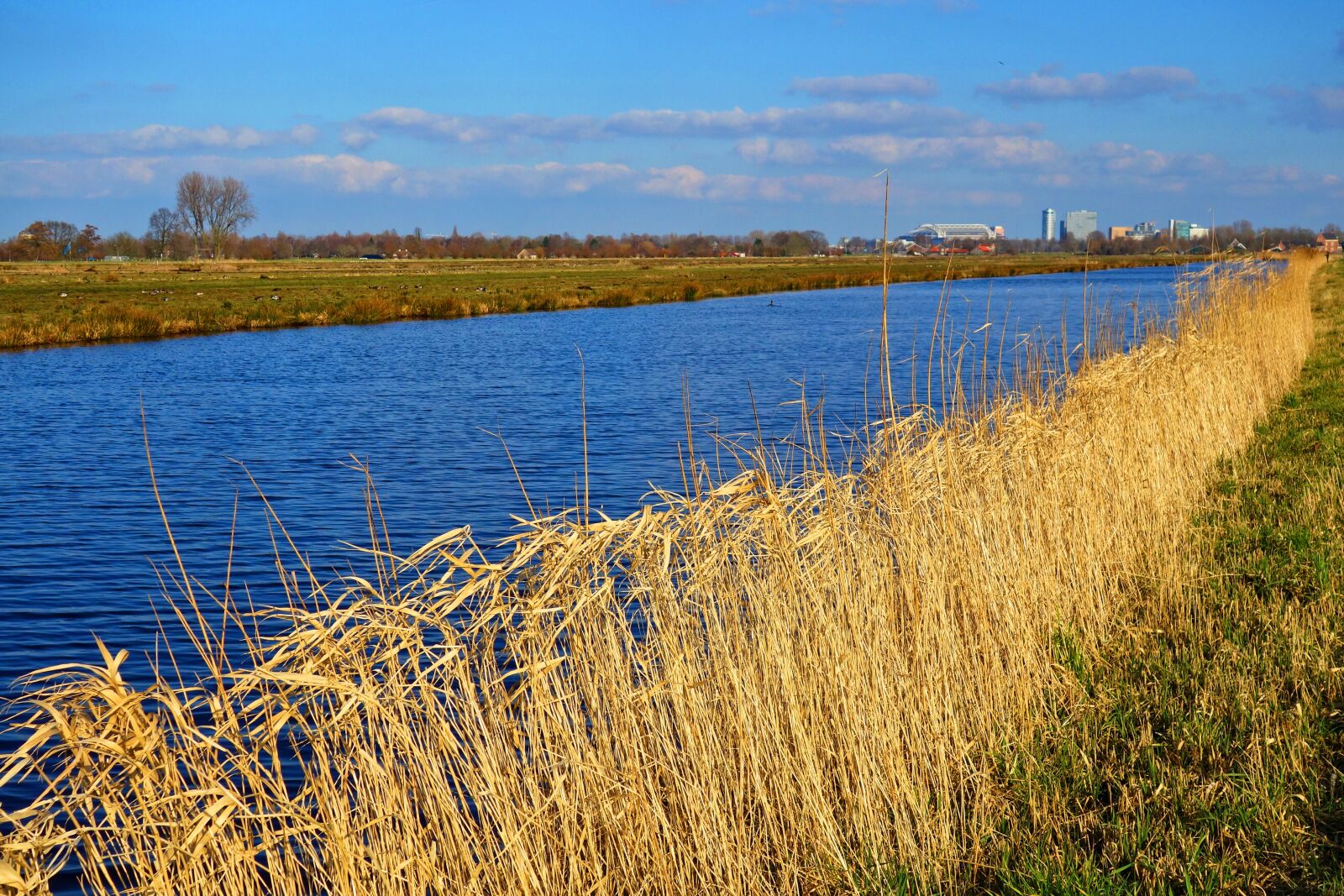Sony Cyber-shot DSC-RX100 sample photo. Canal, waterway, shore photography