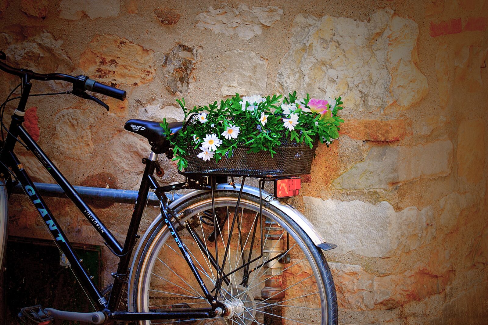 Nikon D3000 sample photo. Wheel, indoors, transportation system photography