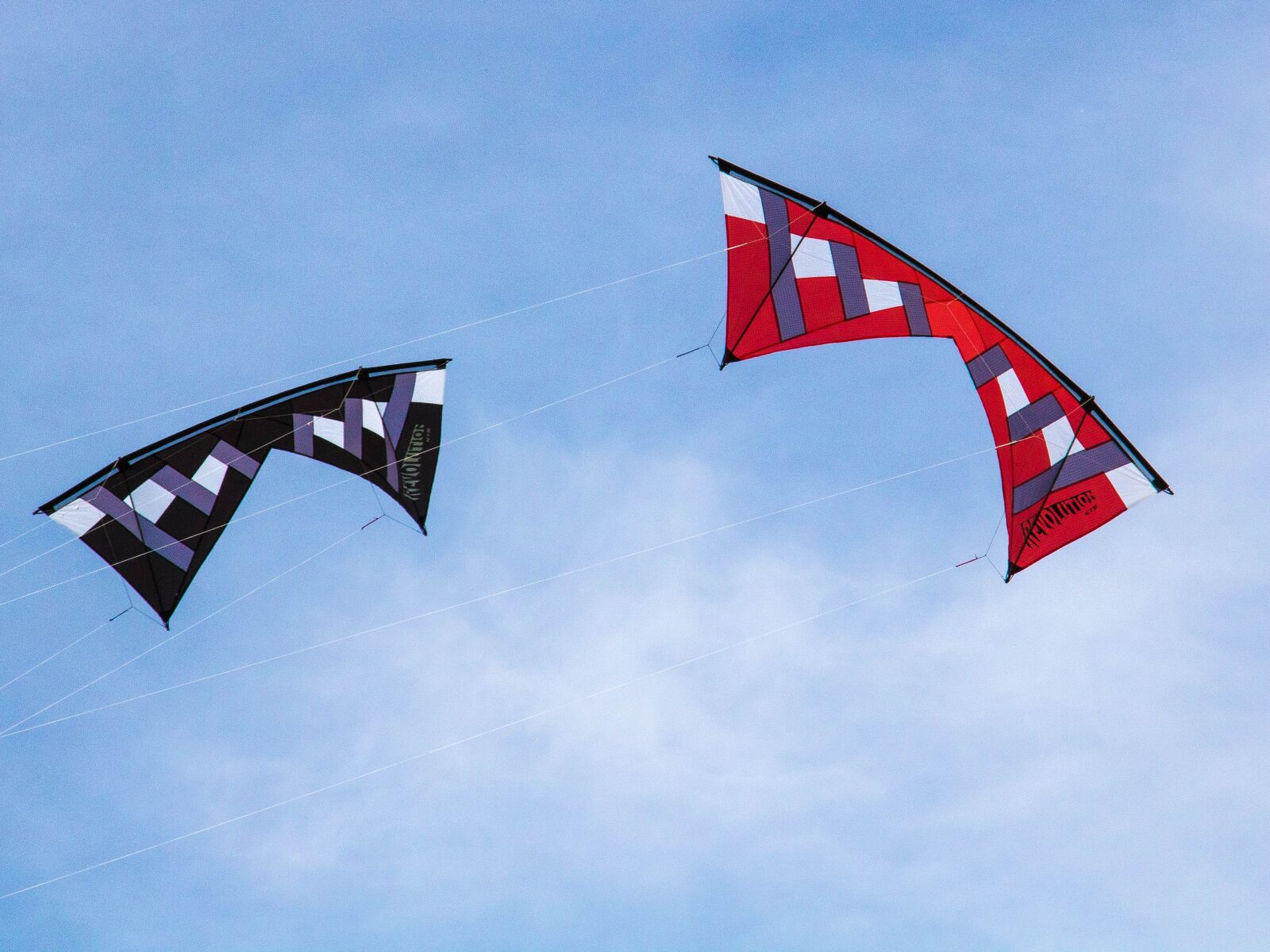 Canon EOS 760D (EOS Rebel T6s / EOS 8000D) sample photo. Kites, summer, outdoor photography