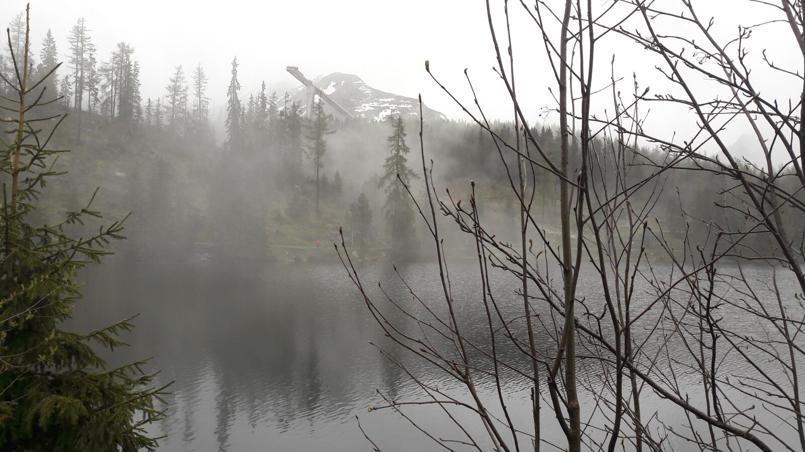 Samsung Galaxy A5(2016) sample photo. Pine, lake, fog photography