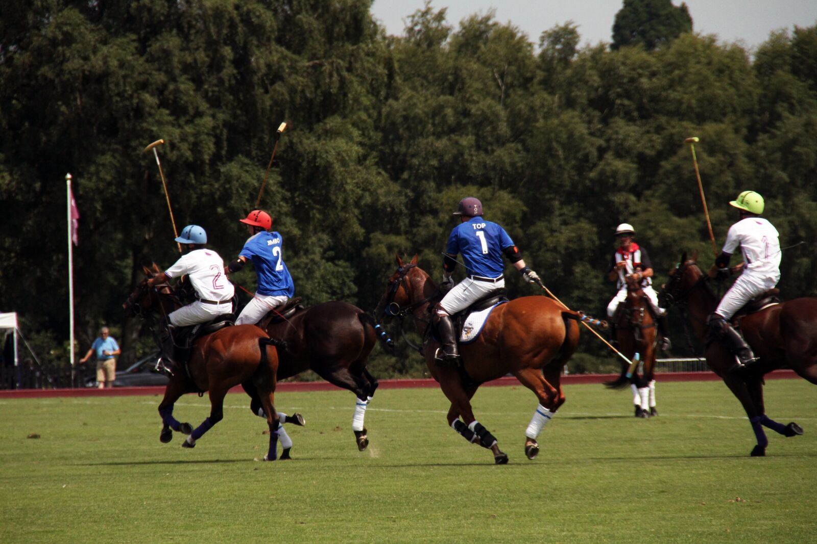 Canon EOS 7D sample photo. Polo, horses, competition photography