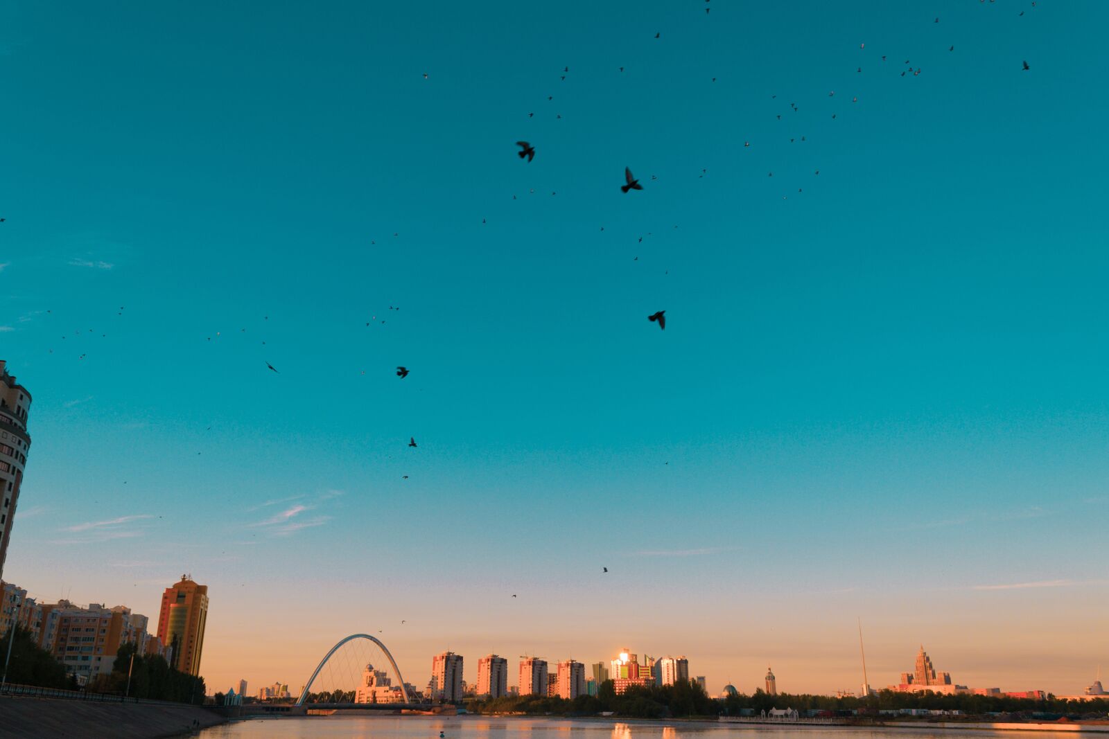Nikon D3100 sample photo. Astana, pigeons, birds photography