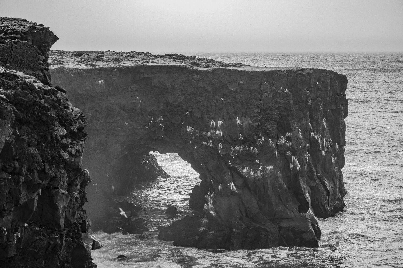 Canon EOS 70D sample photo. Iceland, hellissandur, coast photography
