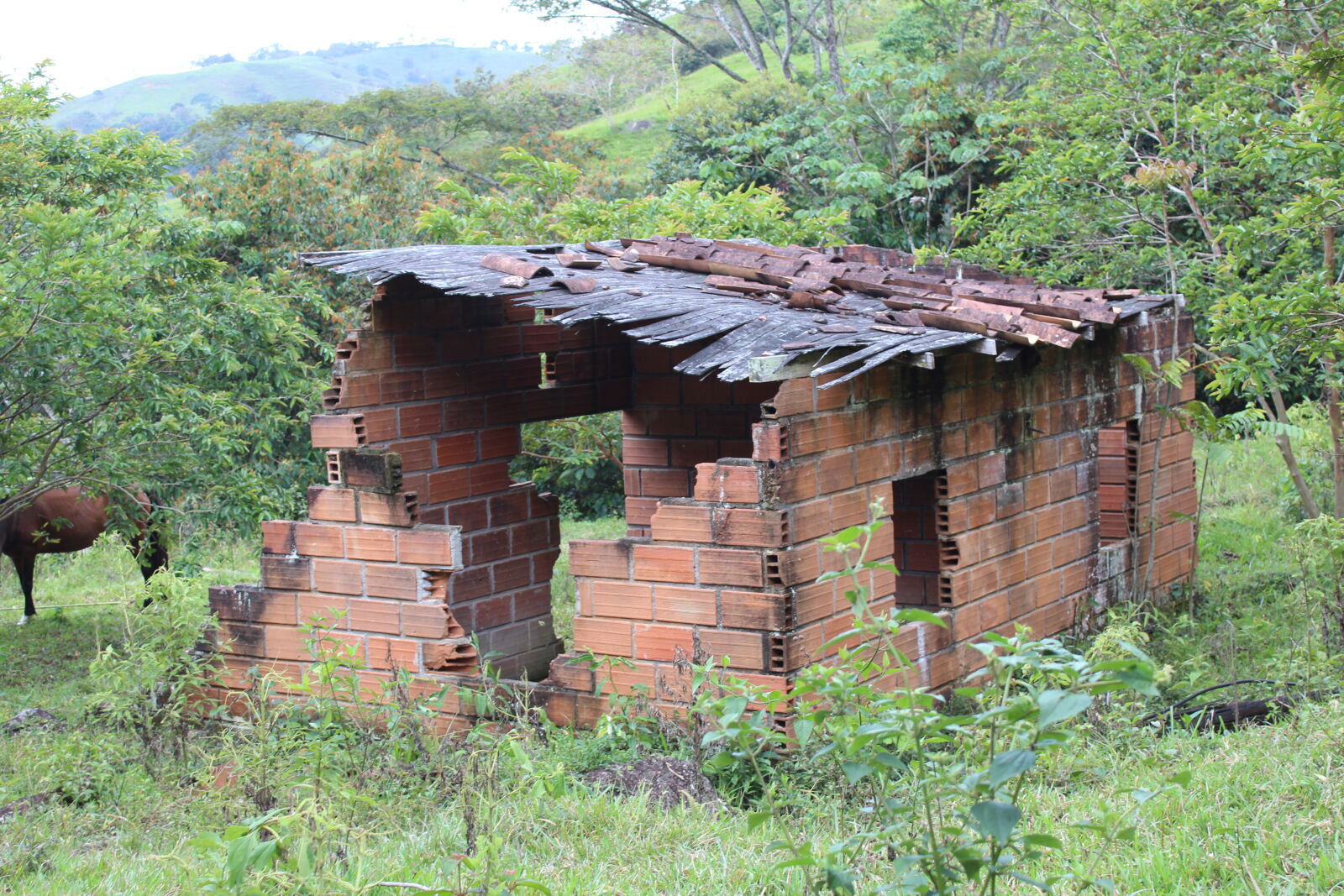 Canon EOS 1300D (EOS Rebel T6 / EOS Kiss X80) sample photo. Construction, country, house, ruins photography
