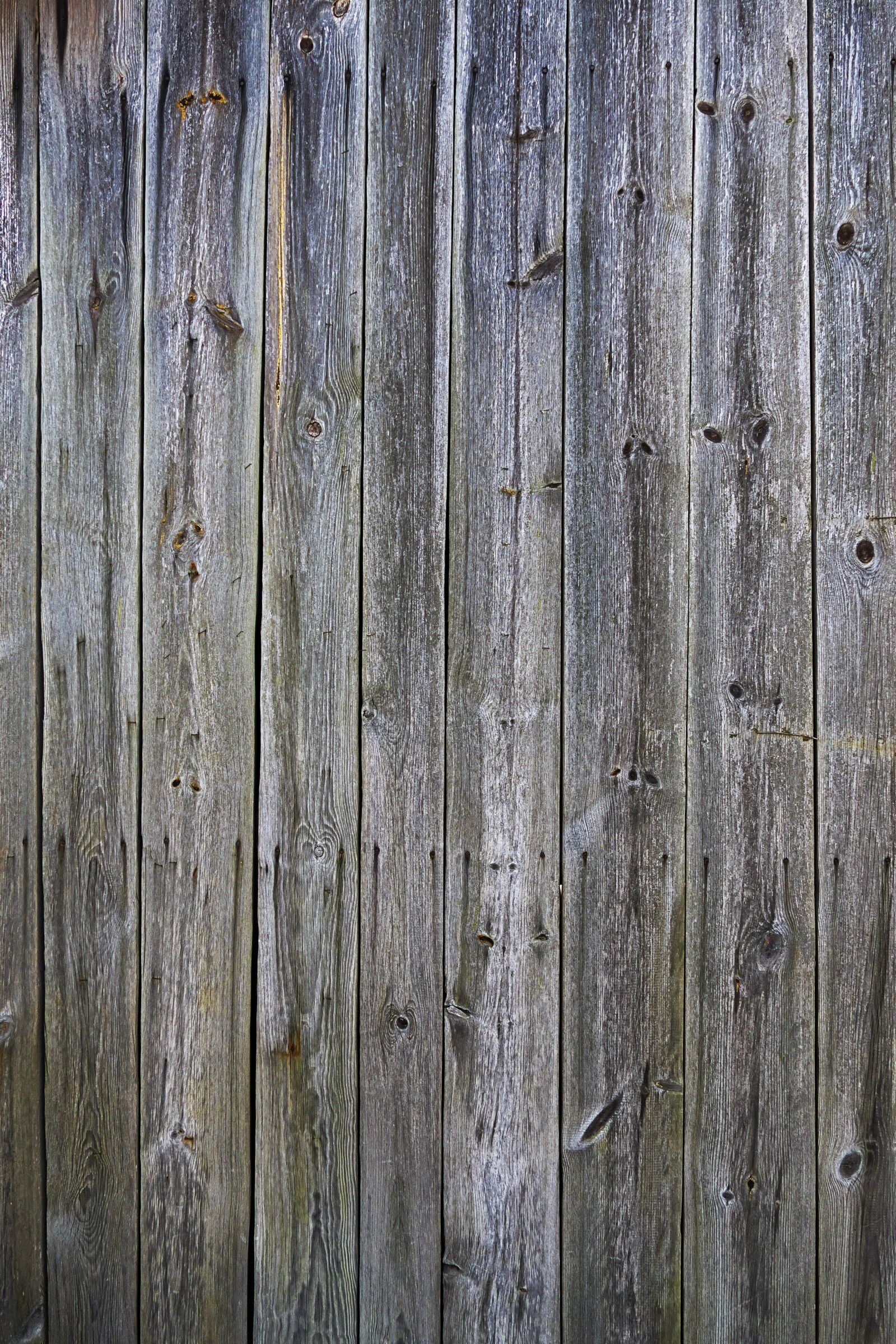 Panasonic Lumix DMC-FZ1000 sample photo. Wood, boards, branches photography