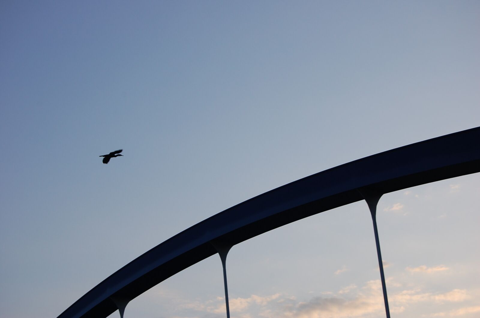 Nikon D40 sample photo. Heron, bird, sky bridge photography