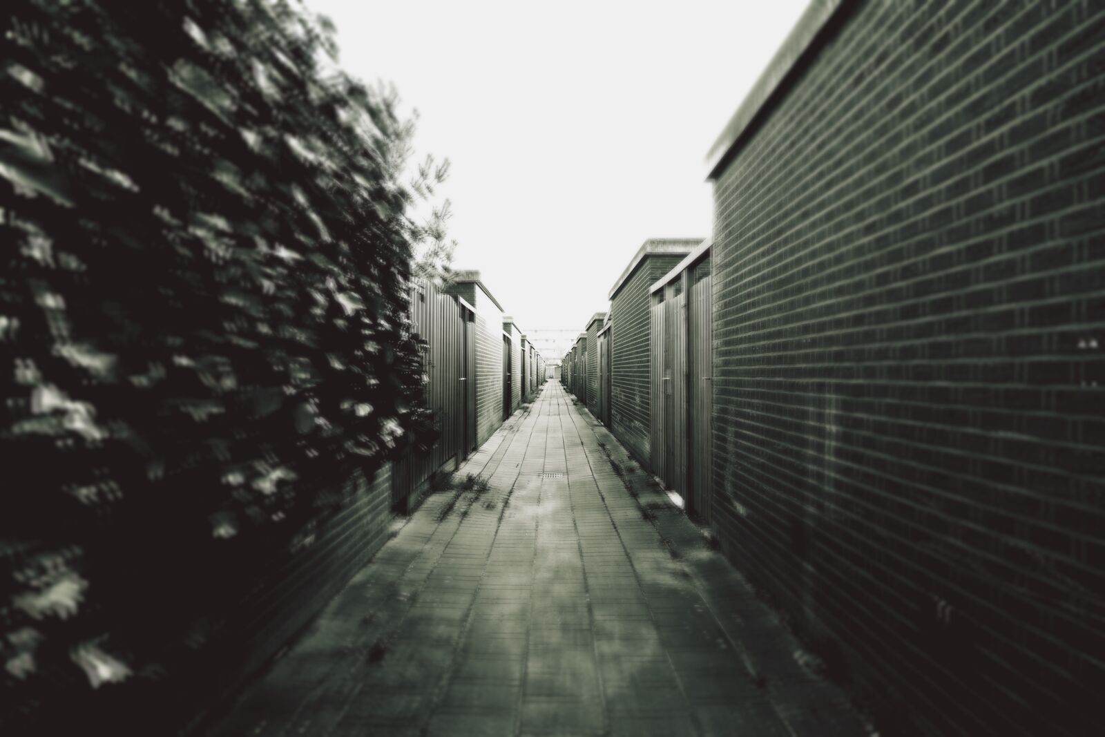 Samsung NX300 sample photo. Grey, scale, photography, of photography
