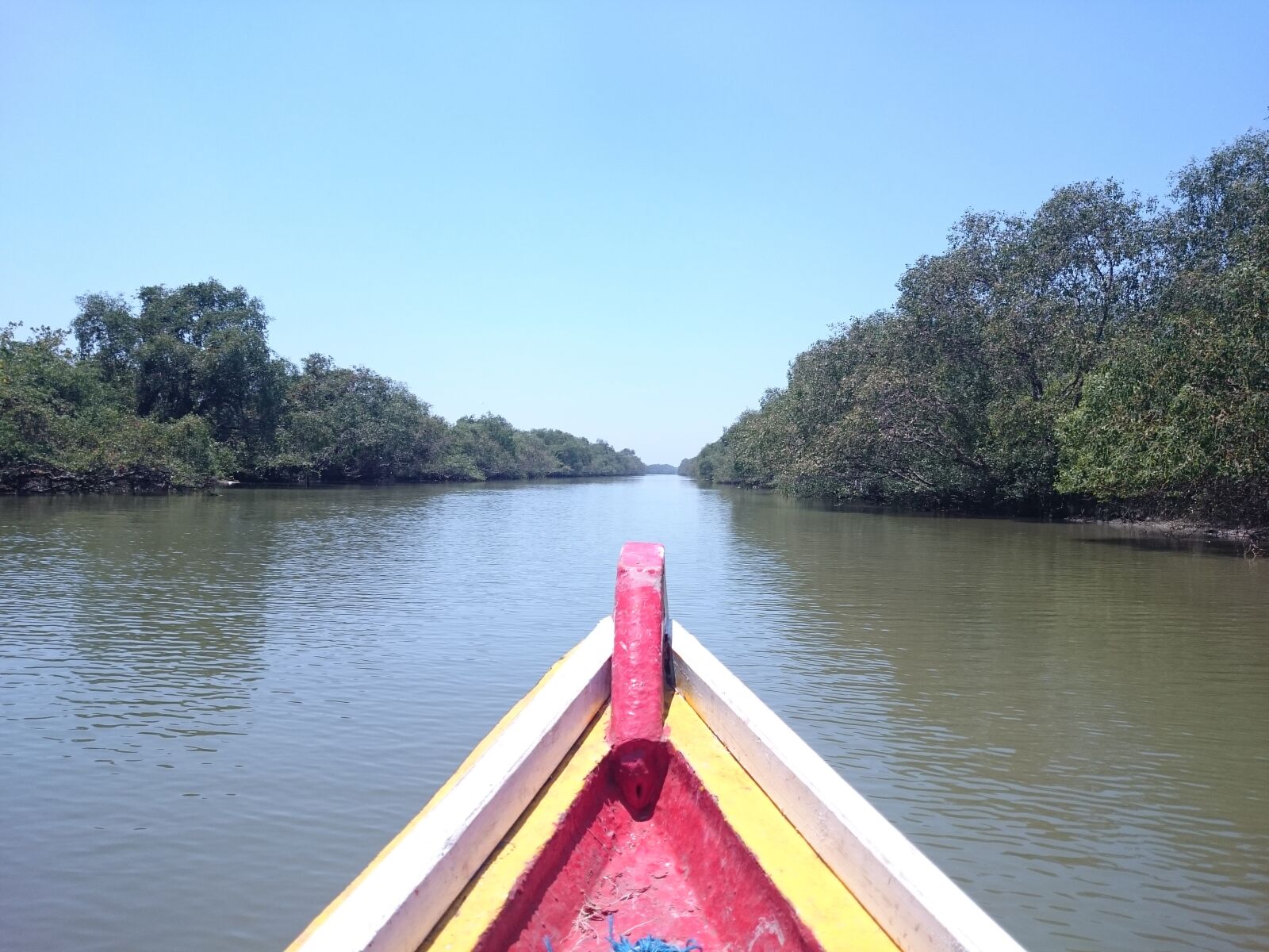 Sony Xperia Z1 Compact sample photo. Nature, river, forest photography