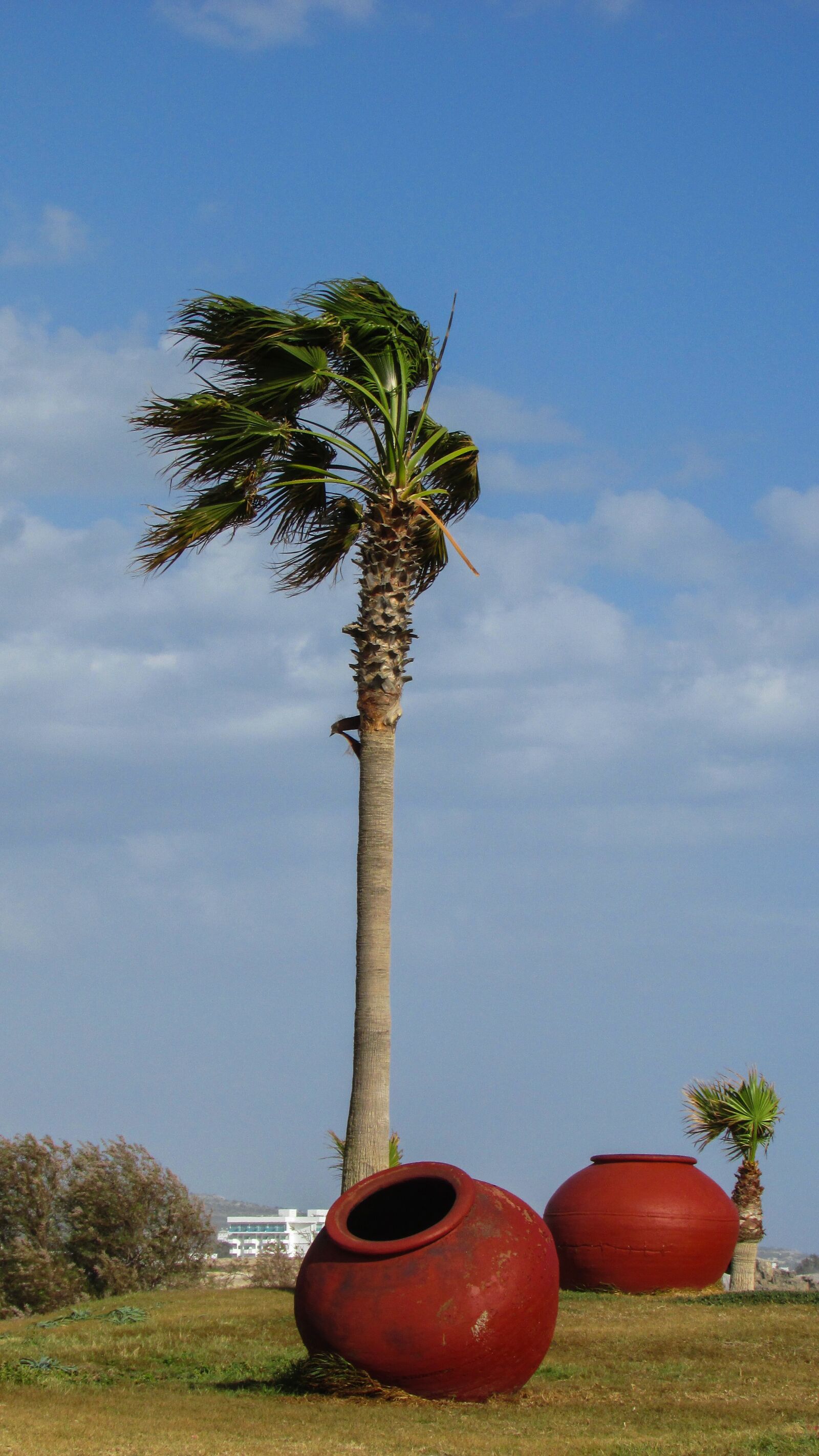Canon PowerShot SX400 IS sample photo. Cyprus, ayia napa, nissi photography