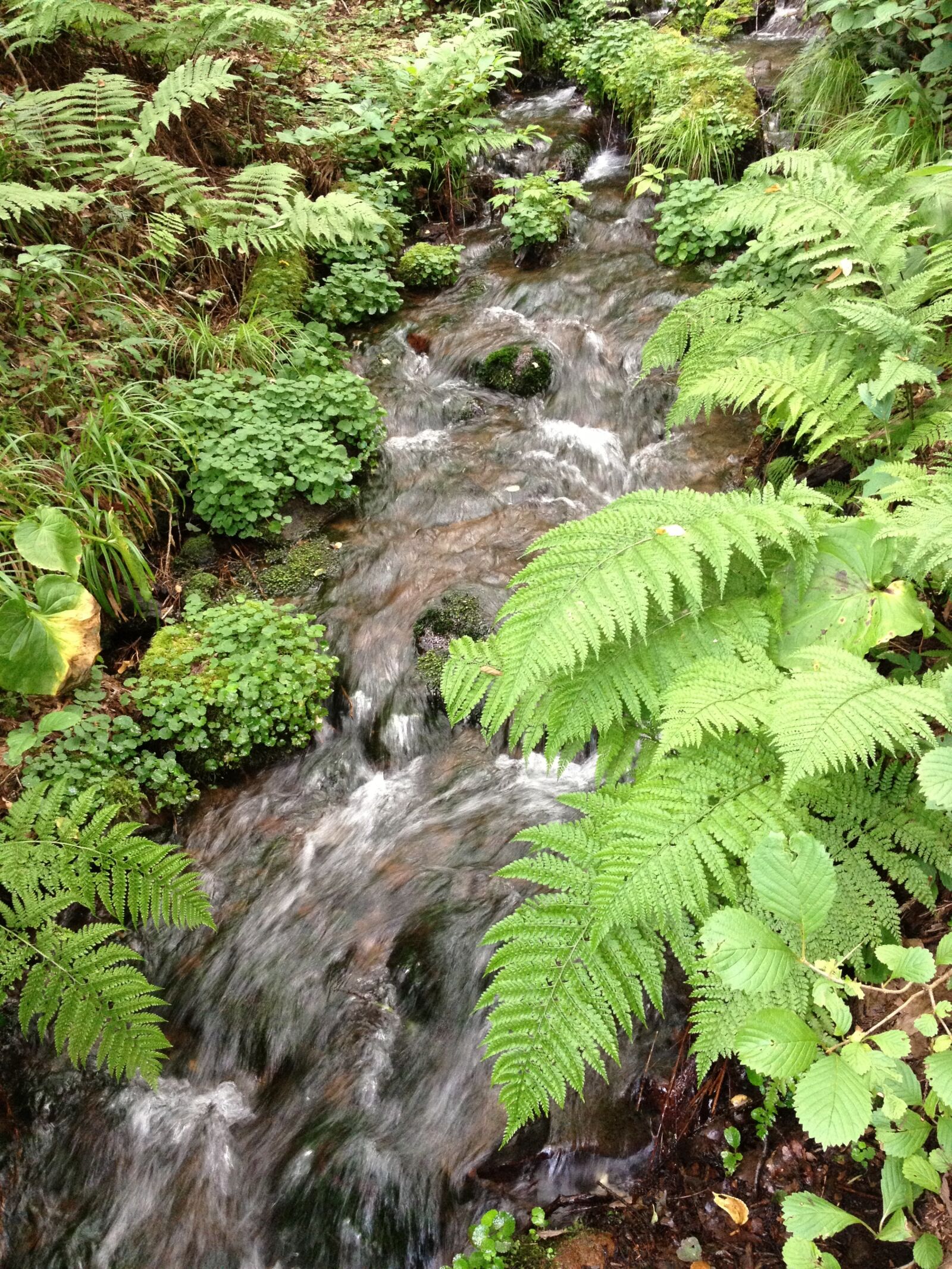 Apple iPhone 4S sample photo. Running water, water, brook photography