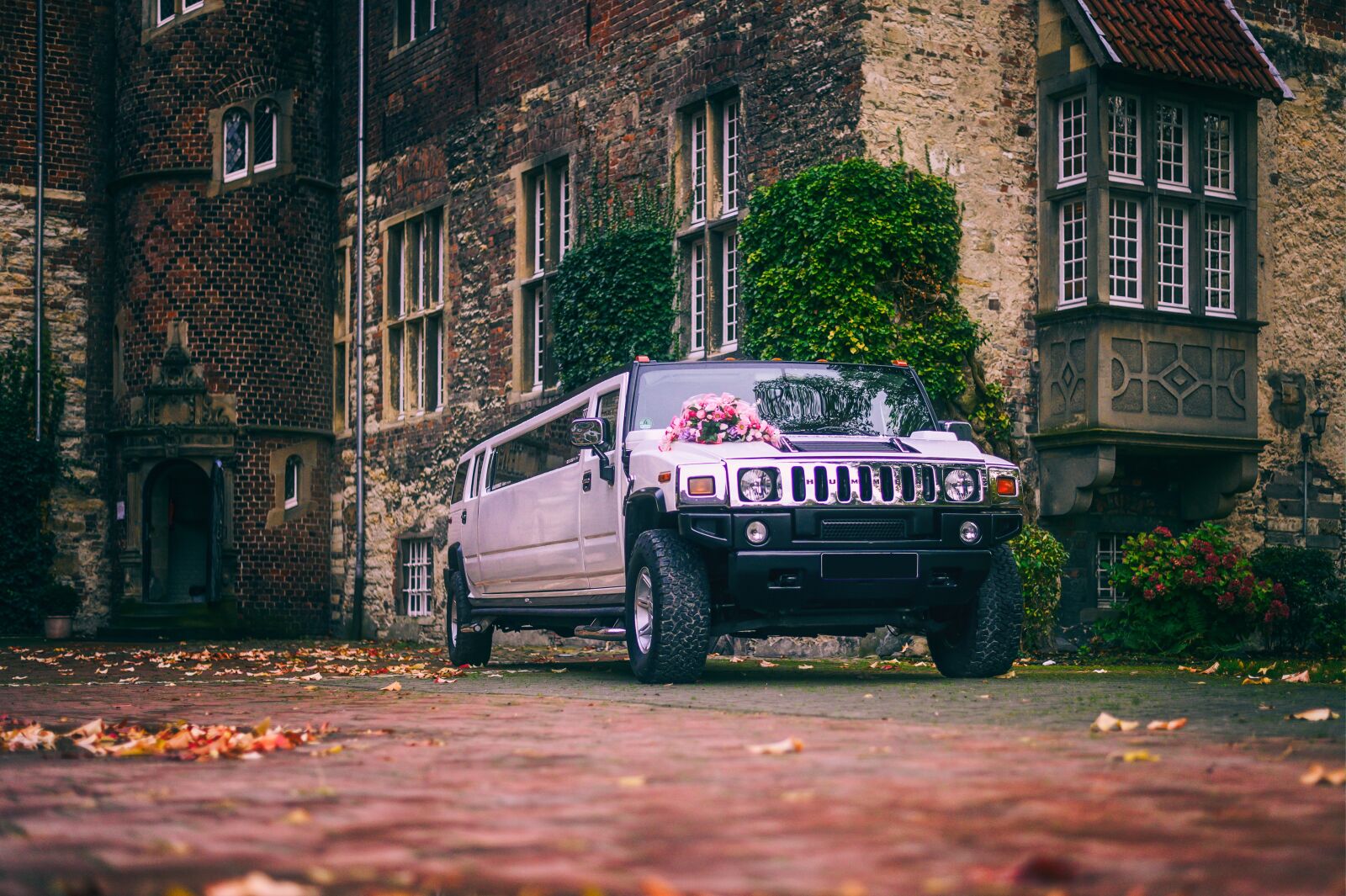 Nikon Z6 sample photo. Wedding, limousine, stretch limousine photography
