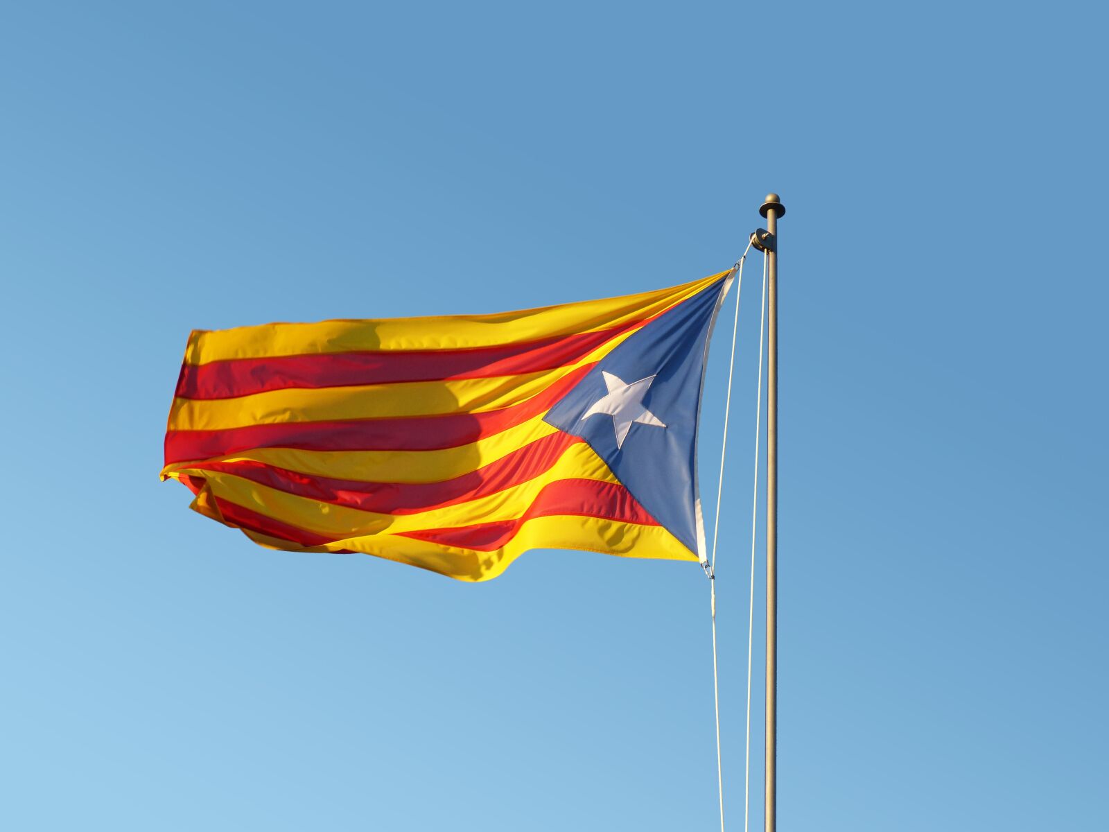 Panasonic DMC-FZ62 sample photo. Flag, senyera, catalan flag photography