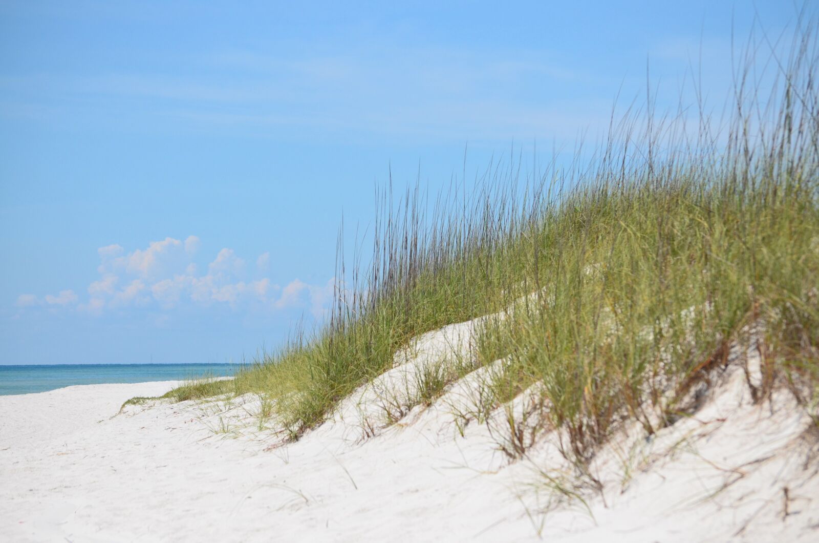 Nikon D5100 sample photo. Sand, beach, nature photography