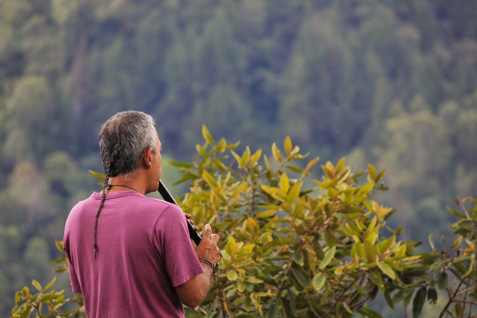 Canon EOS 550D (EOS Rebel T2i / EOS Kiss X4) sample photo. Musician, flute, musical instrument photography