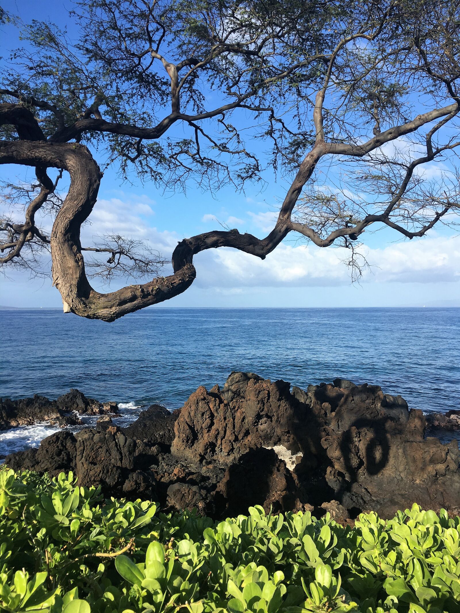 Apple iPhone 6s sample photo. Hawaii, scene, maui photography