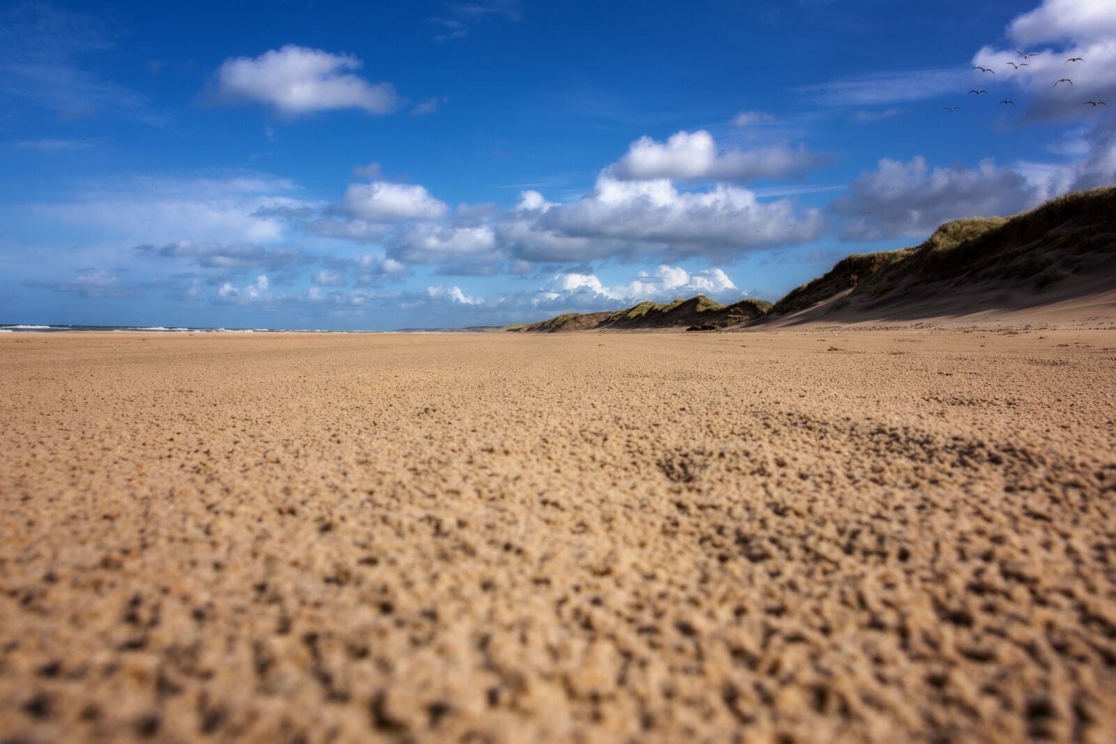 Nikon D7200 sample photo. Sun, north sea, beach photography