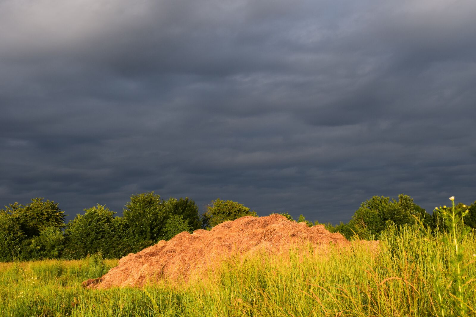 Nikon D3300 sample photo. Dung, sky, cloudiness photography