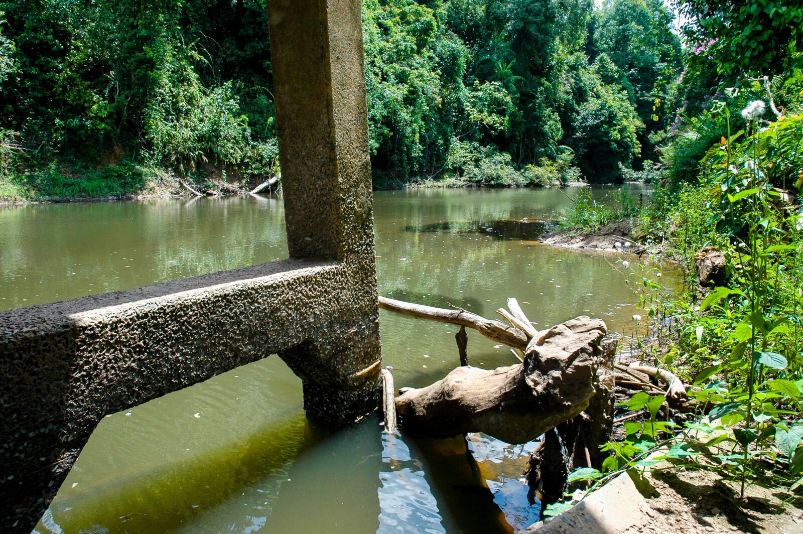 Nikon D70 sample photo. River, river landscape, of photography