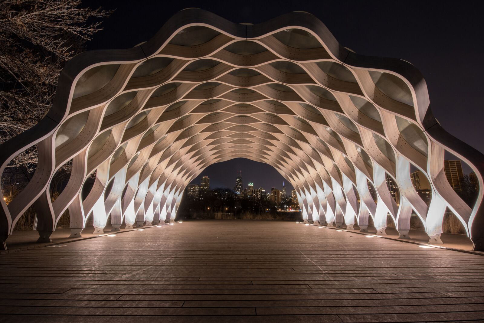 Nikon D810 sample photo. Chicago, night, skyline photography